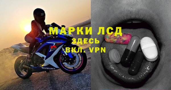 гашик Пестово