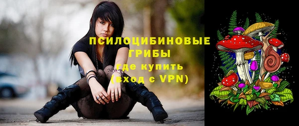 гашик Пестово