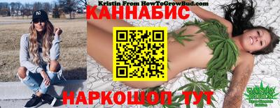 спиды Можга