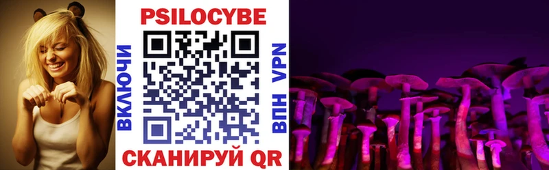 Галлюциногенные грибы MAGIC MUSHROOMS  продажа наркотиков  Красный Сулин 