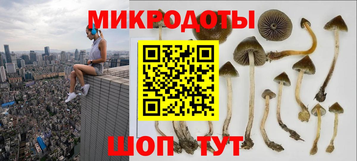 Псилоцибиновые грибы мухоморы Красный Сулин