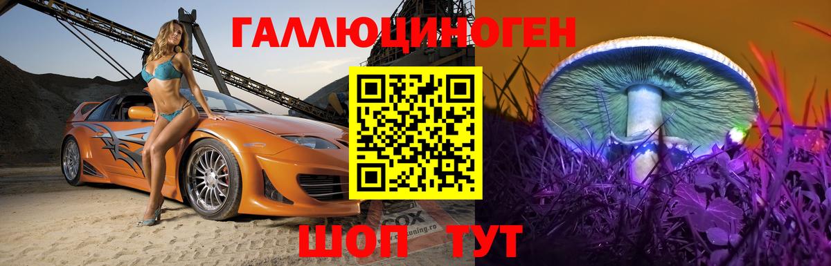 Красный Сулин  Галлюциногенные грибы мухоморы  где купить наркоту  Галлюциногенные грибы MAGIC MUSHROOMS  Вход с VPN 